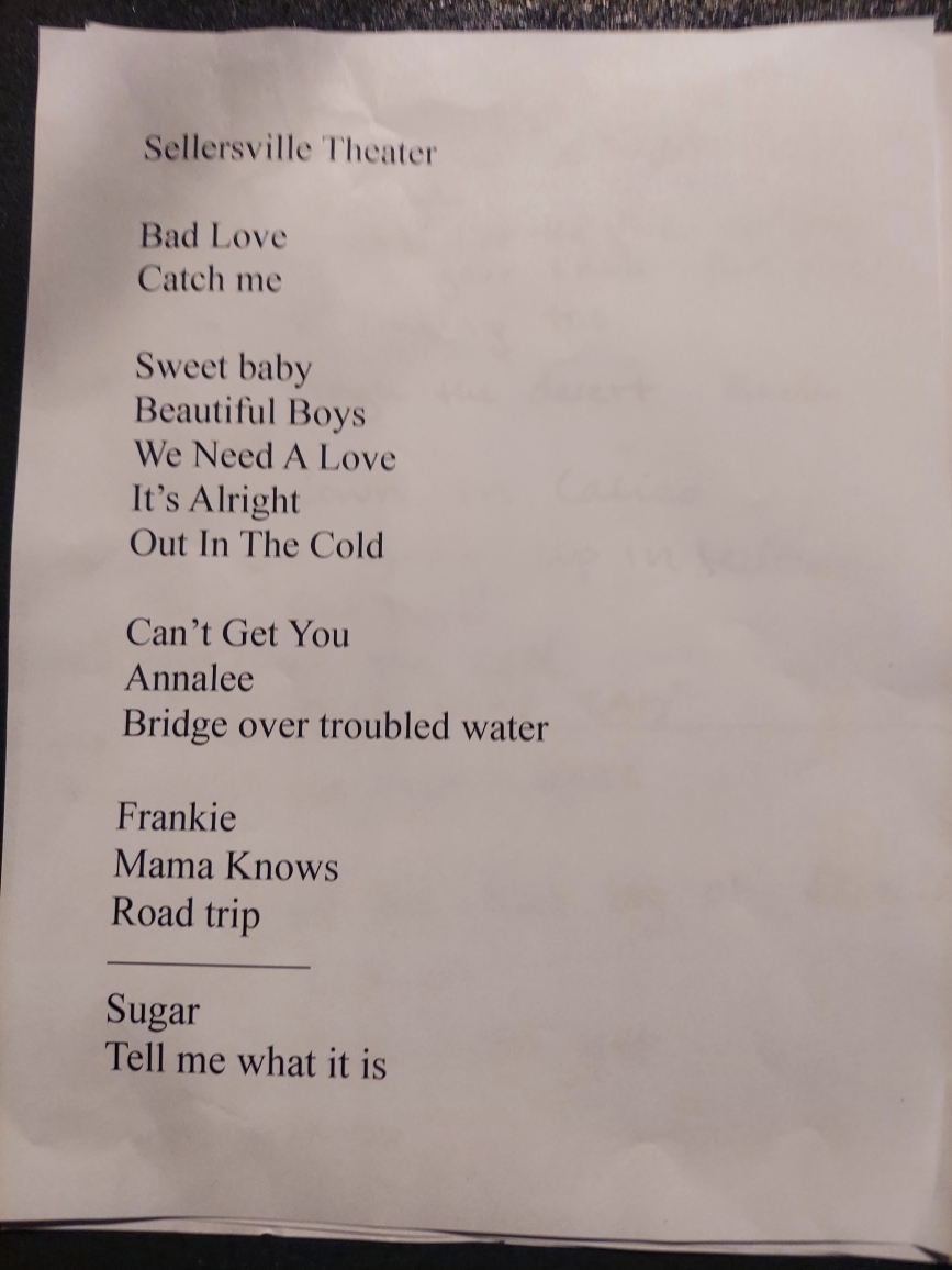 SisterSparrowAndTheDirtyBirds2025-07-11SellersvilleTheaterPA (2).jpeg